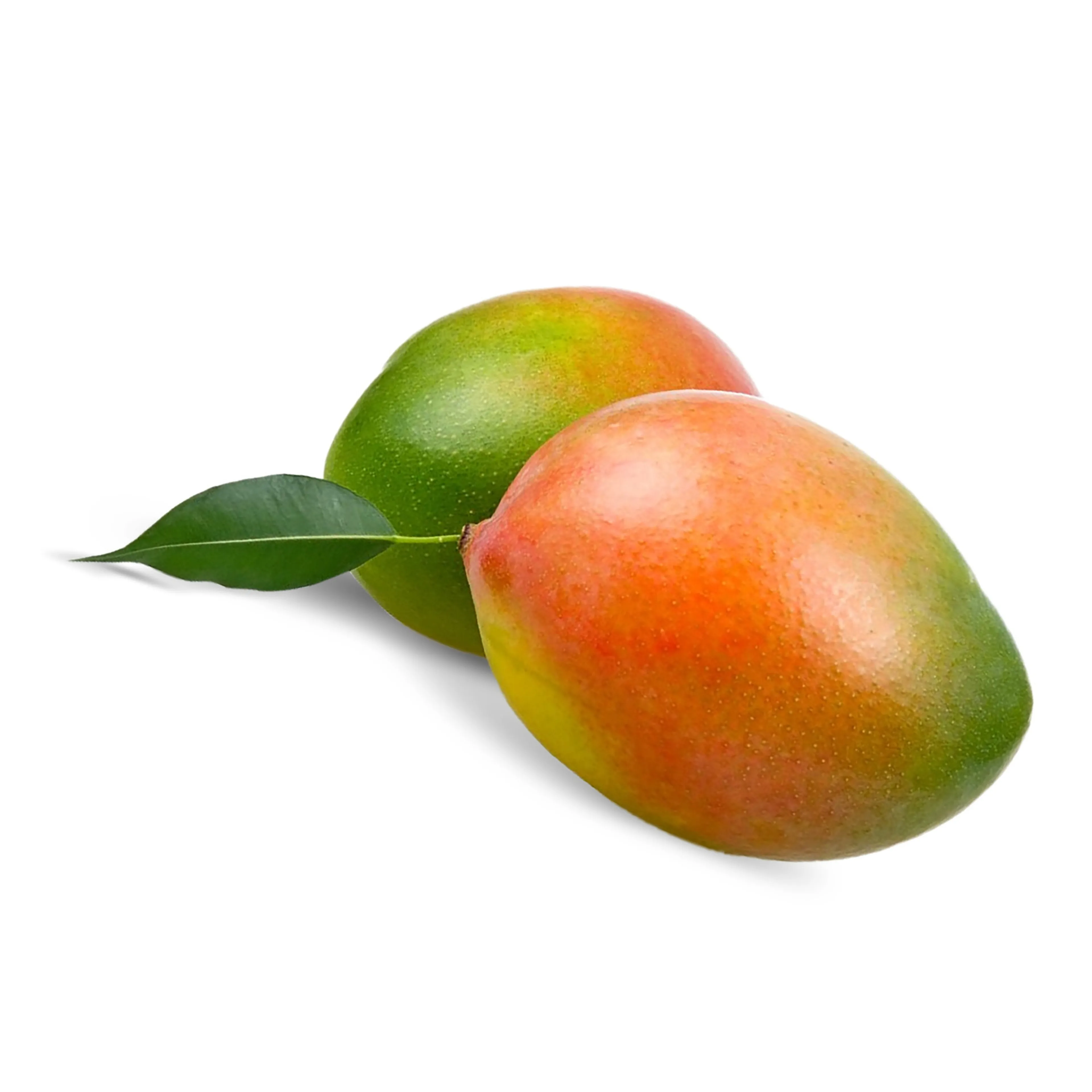 Crimson Egyptian mango